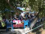 Photo Uzbekistan Pictures