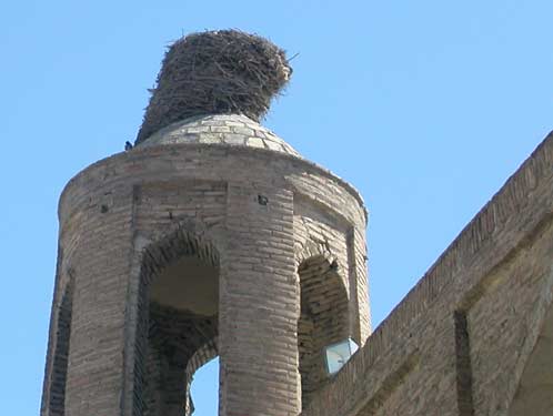 Uzbekistan Bukhara
