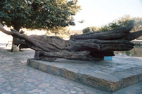 Uzbekistan Bukhara