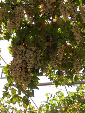 Uzbekistan Bukhara Uzbekistan Bukhara