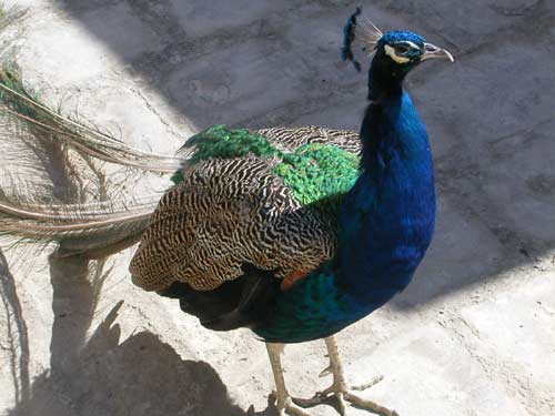 Uzbekistan Bukhara