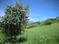 Uzbekistan tourism information