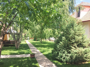 Sky Village в горах Чимган