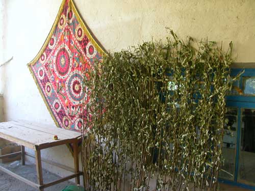 Sherdor Hotel, Campsite