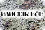 Samarkand Bahodir hotel
