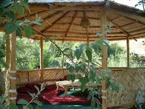 Bogi-Shamol Look - See