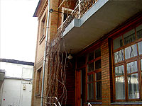 Private Hotel Gulnara BB in Tashkent