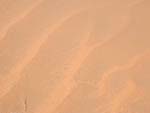 sand-dune