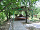 Avenue Park Hotel