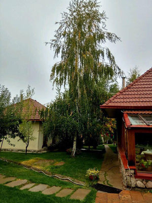 Зона Отдыха Sky Village Гостиница в горах Чимган Зона Отдыха Sky Village Гостиница в горах Чимган